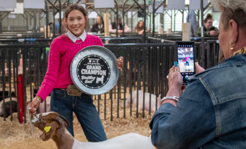 SCJLS 2024: Addison Duncan shows Grand Champion goats