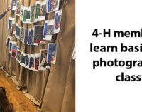 Local 4-H photography class, contest provide students with creative skills and photo challenges