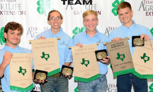 Stephens County team named State Champions at 4-H Roundup; ag students represent Breckenridge throughout year