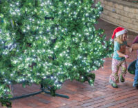 Community Christmas tree lights up downtown Breckenridge