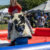 Frontier Days Fun: Photos by Kodee Crawford