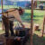 Frontier Days Chuckwagon Cook-off 2025