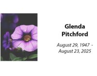 Glenda Pitchford