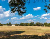 City of Breckenridge dog park in limbo following lawsuit against Commissioner Akers over fence construction