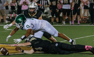 Buckaroos suffer ‘disappointing loss’ against Clyde Bulldogs