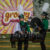 Football 2025: Buckaroos take on Clyde at Bulldog Stadium