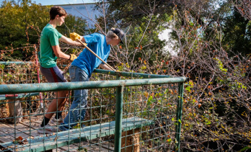 Kason Burchett works to revitalize Bird House Park for Eagle Scout Project