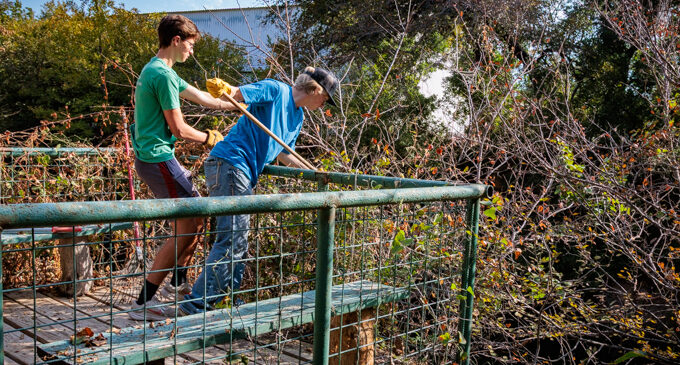 Kason Burchett works to revitalize Bird House Park for Eagle Scout Project