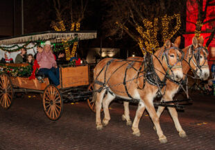 A cowboy Christmas 2025 parade