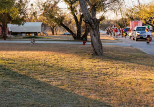 Our Lady of Guadalupe Procession 2025