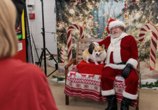 Christmas activities around Breckenridge 2025 in photos