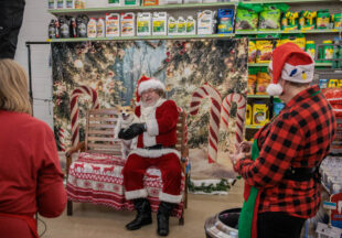 Christmas activities around Breckenridge 2025 in photos