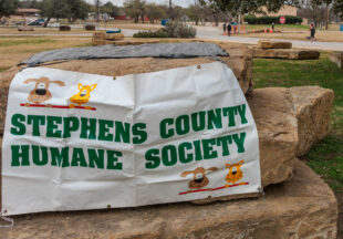 Wags and Whiskers 5K and Fun Run 2025