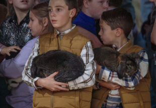 Rabbit Show kicks off 2026 Stephens County Livestock Show