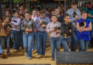 Rabbit Show kicks off 2026 Stephens County Livestock Show