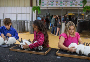 Rabbit Show kicks off 2026 Stephens County Livestock Show