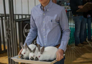 Rabbit Show kicks off 2026 Stephens County Livestock Show