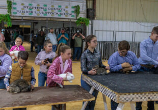 Rabbit Show kicks off 2026 Stephens County Livestock Show