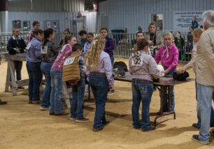 Rabbit Show kicks off 2026 Stephens County Livestock Show