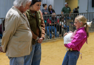 Rabbit Show kicks off 2026 Stephens County Livestock Show