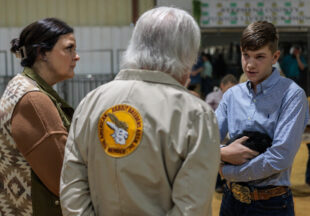 Rabbit Show kicks off 2026 Stephens County Livestock Show