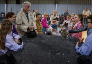 Rabbit Show kicks off 2026 Stephens County Livestock Show