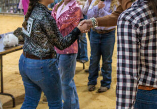 Rabbit Show kicks off 2026 Stephens County Livestock Show