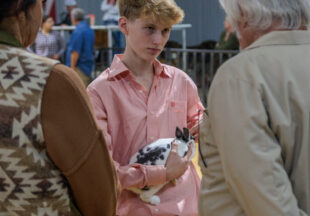 Rabbit Show kicks off 2026 Stephens County Livestock Show