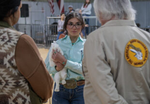 Rabbit Show kicks off 2026 Stephens County Livestock Show