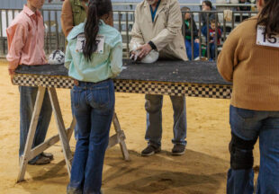 Rabbit Show kicks off 2026 Stephens County Livestock Show