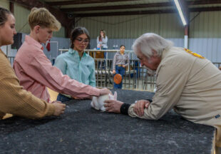 Rabbit Show kicks off 2026 Stephens County Livestock Show