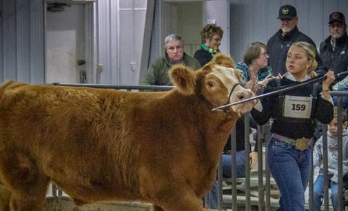 Stephens County Junior Livestock Show scheduled for Jan 8-10