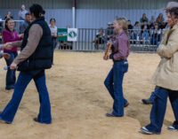 Sylee Mitchell receives Jacob Jackson Master Showman Award to wrap up 2026 Stephens County Junior Livestock Show