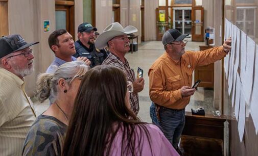 Thompson, Wade and Shockley secure Republican nominations in 2026 Primary