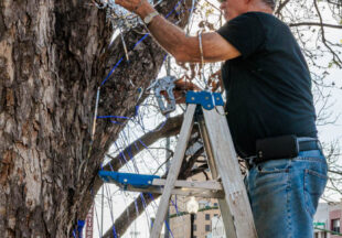 Child Abuse Awareness Month