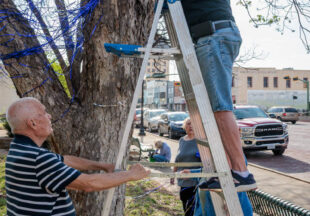 Child Abuse Awareness Month