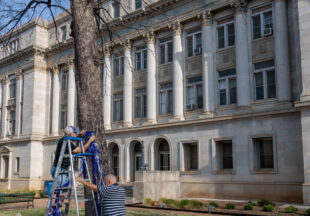 Child Abuse Awareness Month