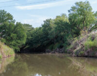 TCEQ investigating sewer discharge into Gunsolus Creek; questions remain about the safety, quality of creek water