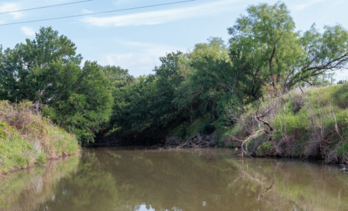 TCEQ investigating sewer discharge into Gunsolus Creek; questions remain about the safety, quality of creek water