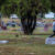 Remembering local veterans – 2026