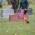 Remembering local veterans – 2026