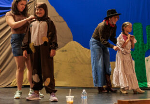 ‘Beauty Lou and the Country Beast’ at the National Theatre