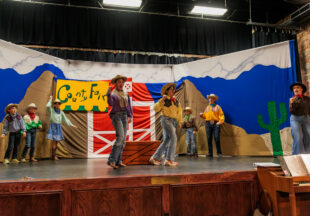 ‘Beauty Lou and the Country Beast’ at the National Theatre