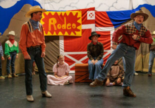 ‘Beauty Lou and the Country Beast’ at the National Theatre
