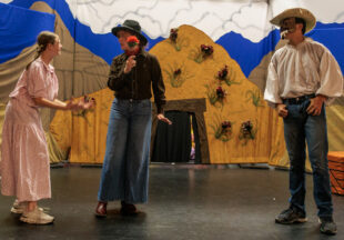 ‘Beauty Lou and the Country Beast’ at the National Theatre