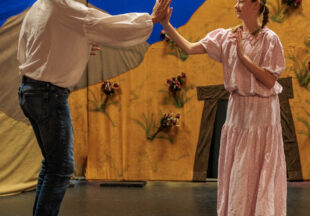 ‘Beauty Lou and the Country Beast’ at the National Theatre
