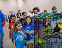 Summer schedule includes activities for Breckenridge kids