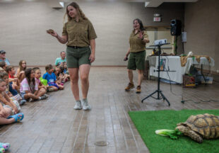 Creature Teacher summer program – 2026