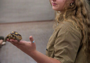 Creature Teacher summer program – 2026