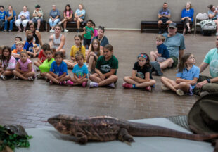 Creature Teacher summer program – 2026